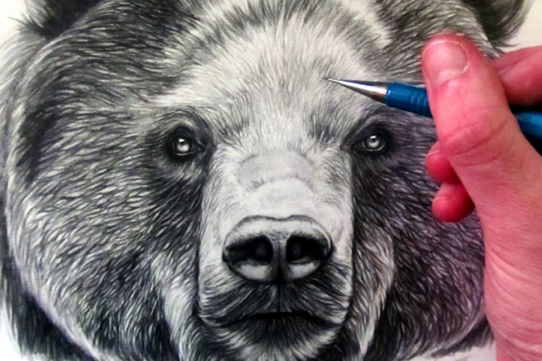 How to Draw a Brown Bear - Pintando.org