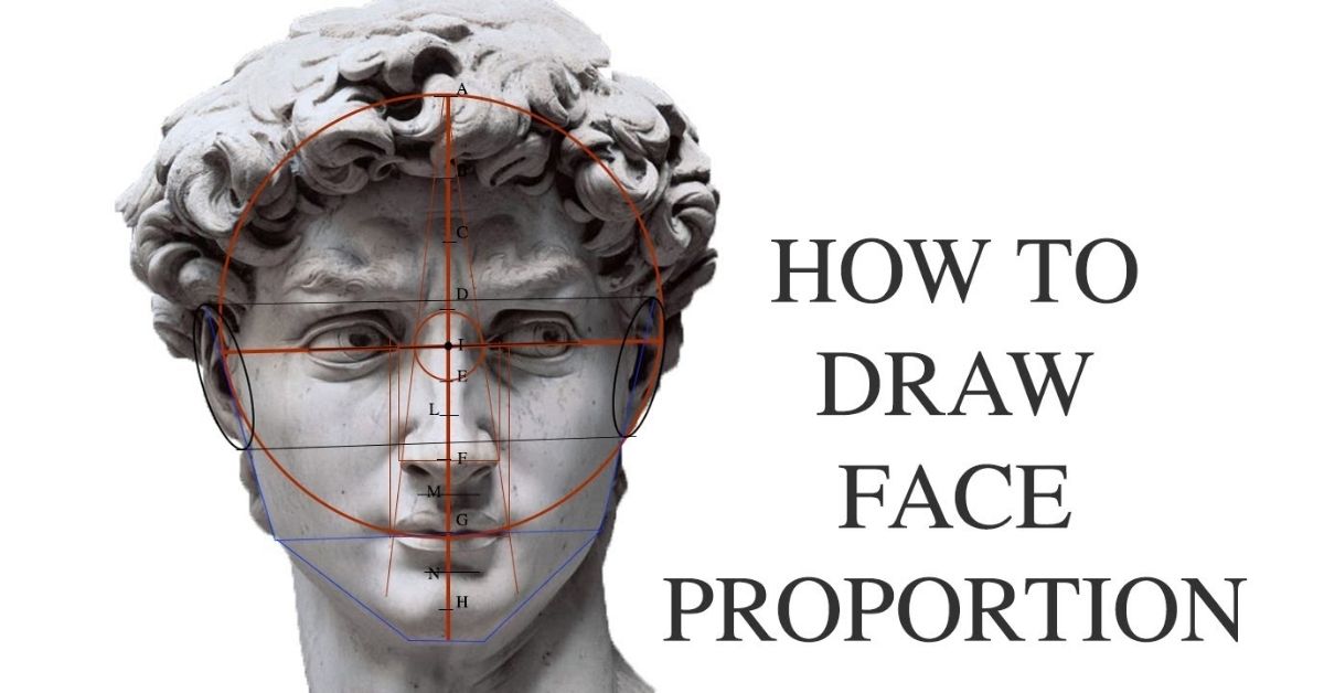 Drawing Michelangelo's David step by step guide to FACE PROPORTION for beginners
