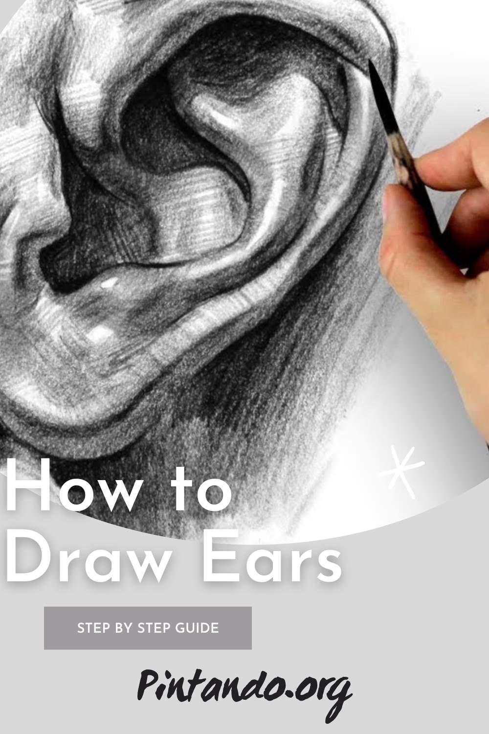 How to Draw Ears - Step by Step (1)