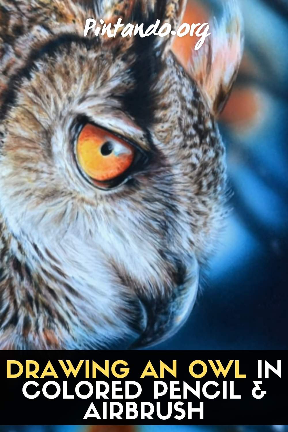 Drawing an Owl in colored pencil & airbrush