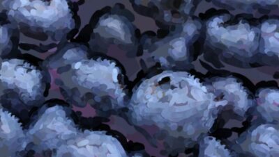 A watercolor cluster of blueberries shown mid-process — the berries underpainted in a muted warm base before the true blue-purple is glazed on top, with a floating color palette beside them.