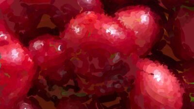 A watercolor cluster of cherries shown mid-process — the cherries underpainted in muted green before the true deep red is glazed on top, with a floating color palette beside them.