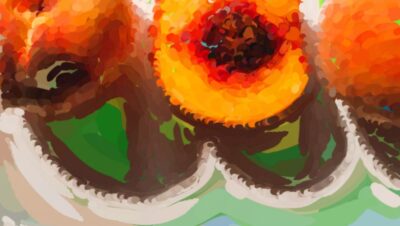 A watercolor pair of peaches shown mid-process — the peaches underpainted in muted green before the warm yellow-to-pink blush is glazed on top, with a floating color palette beside them.
