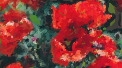 A watercolor spray of poppies shown mid-process — the blooms underpainted in muted green before the true translucent red is glazed on top, with a floating color palette beside them.